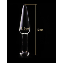 Farruz SM Paris Glass Romance Cam Anal Plug