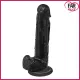 Farruz Rainbow 20 Cm Kıkırdaklı Jel Dildo