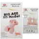 Mica 2 Kg Mini Yarım Vücut Mastürbatör Mica 2 Kg Mini Yarım Vücut Mastürbatör
